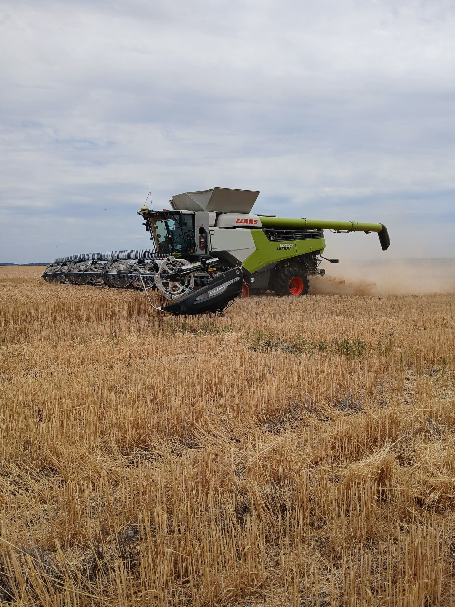 Green and white CLAAS Lexion combine harvester working in a golden wheat field under a cloudy sky.