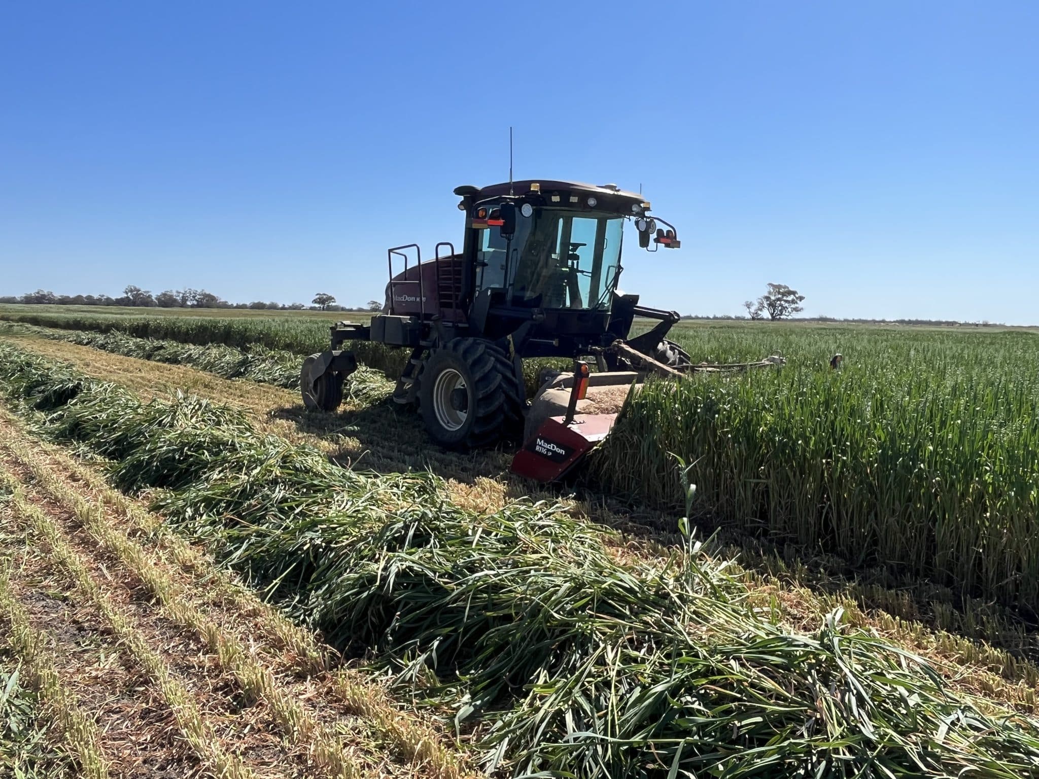 Red agricultural tractor in a field with cut rows of crops under a clear blue sky.