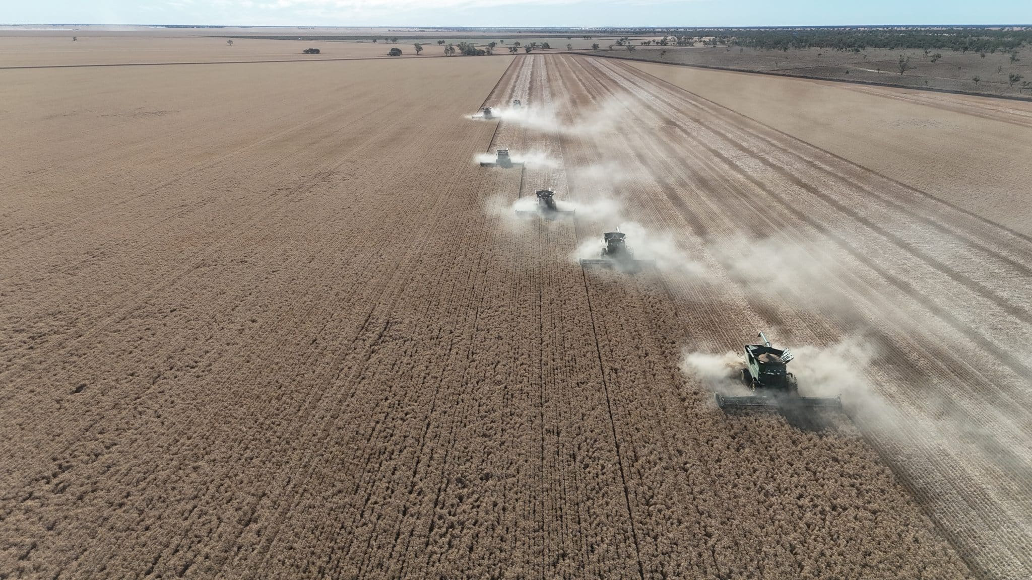 Aerial view of several combines harvesting a vast brown field, kicking up dust as they work in parallel rows.