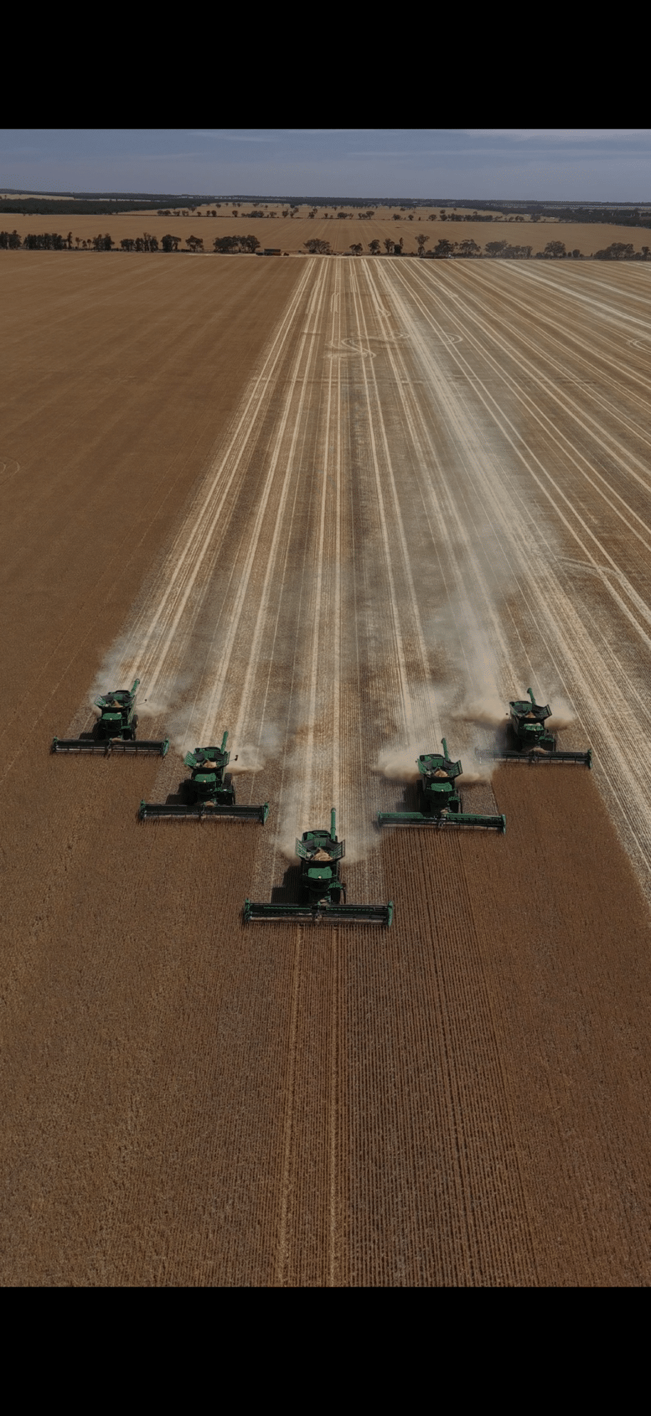 303A446B-9D7B-4E27-949D-66E5043F4054