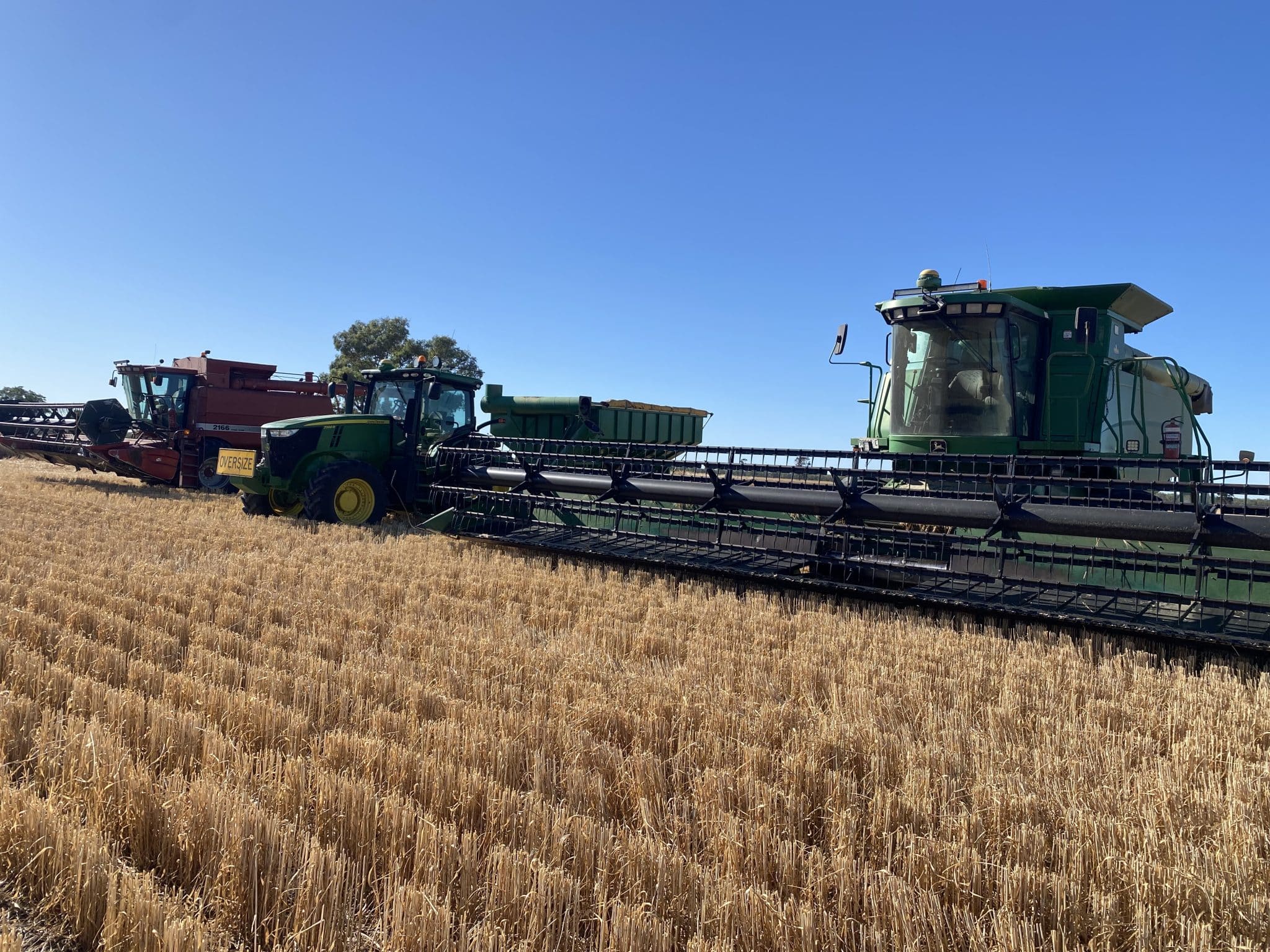 Farm equipment in a golden wheat field under a clear blue sky; a green combine harvester is cutting grain on the right, with another red machine in the background to the left.