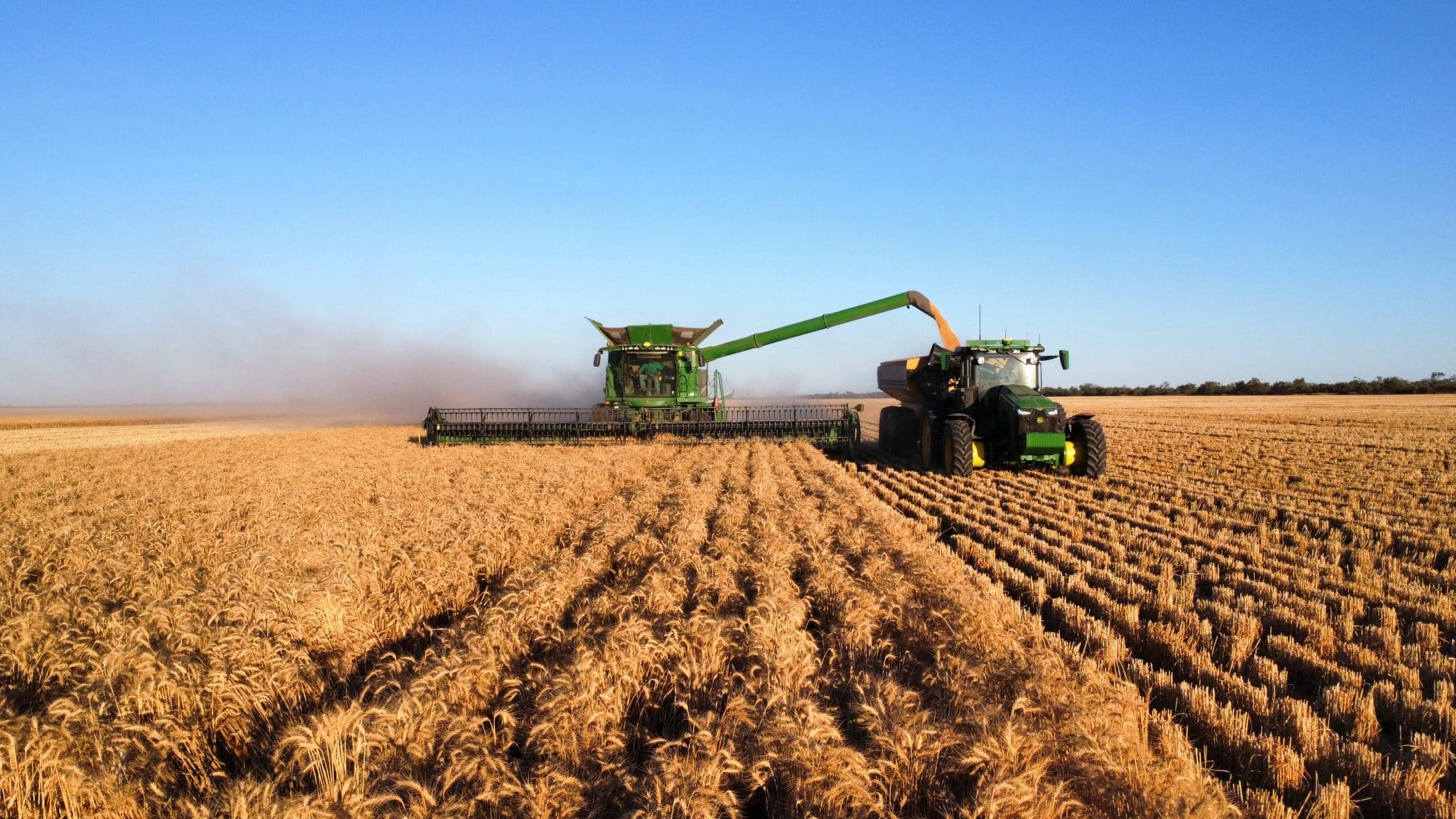 Green combine harvester unloading grain into a trailer in a golden wheat field under a clear blue sky.