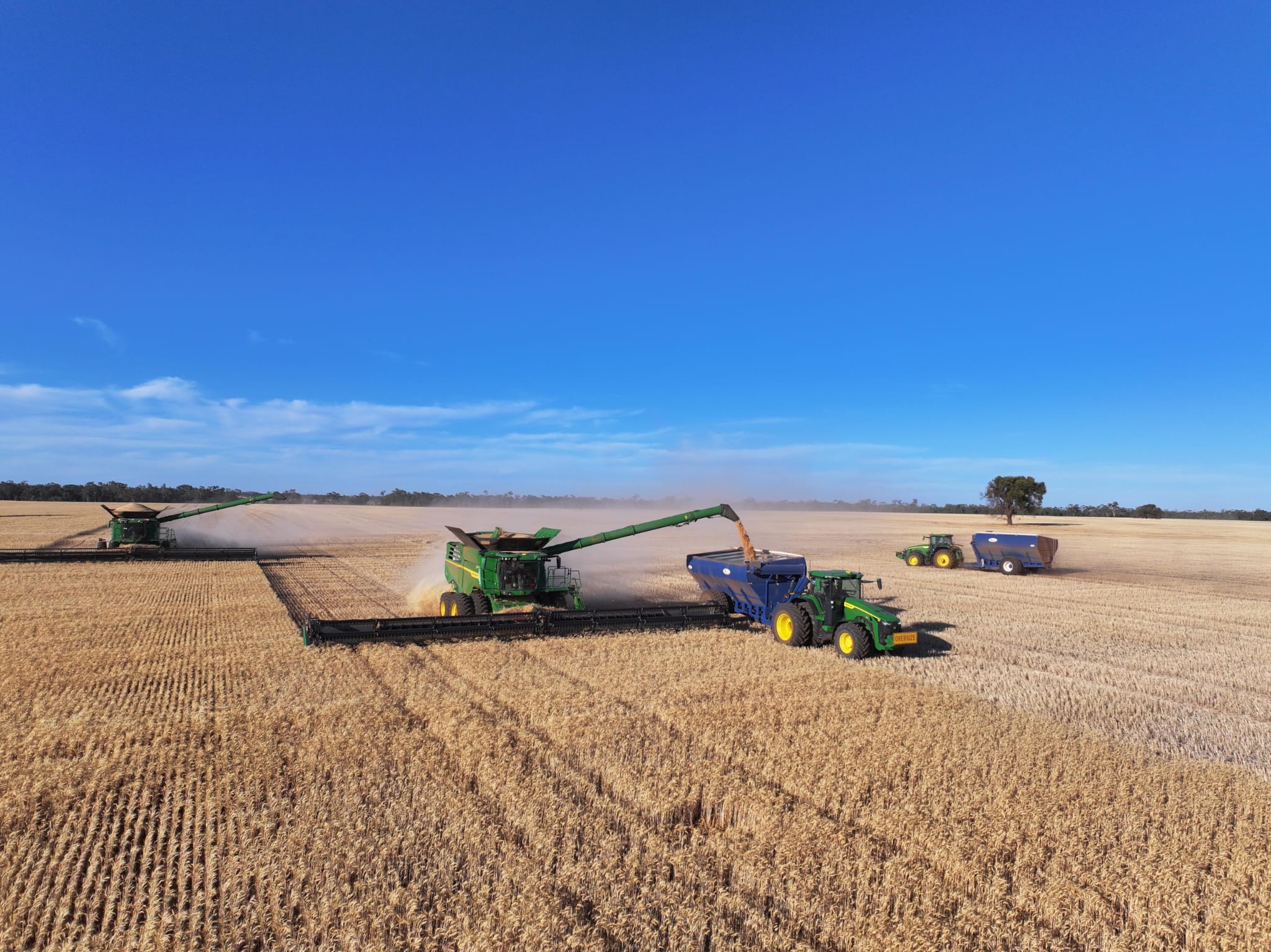 Wide field with green harvesting machines cutting ripe wheat under a clear blue sky; dust trails behind them.