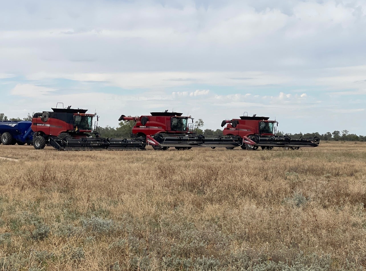Three red CASE IH combine harvesters lined up in a dry, grassy field under a cloudy sky in a rural area