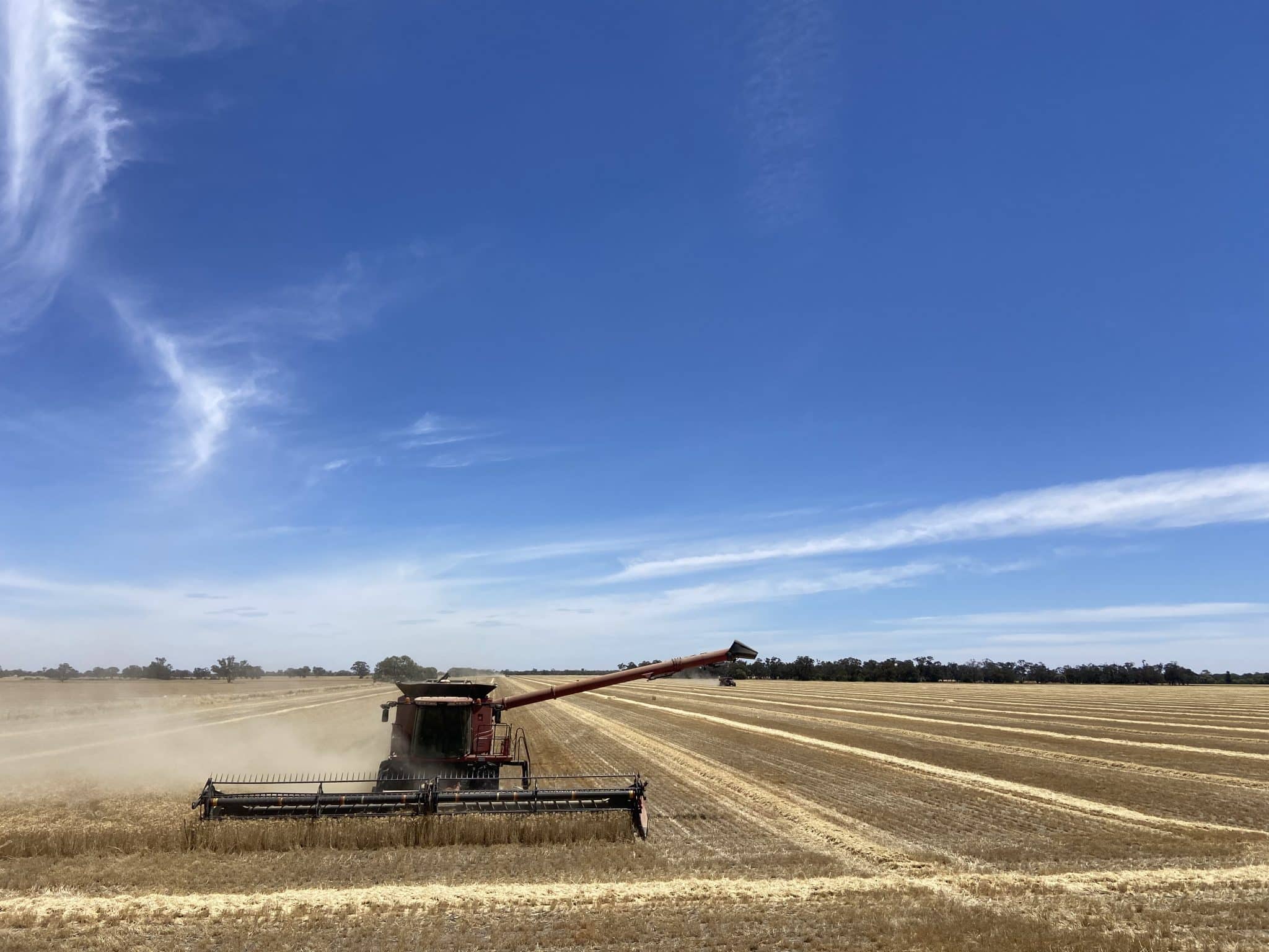 Red combine harvester traveling across a dry, harvested field under a clear blue sky, kicking up dust.