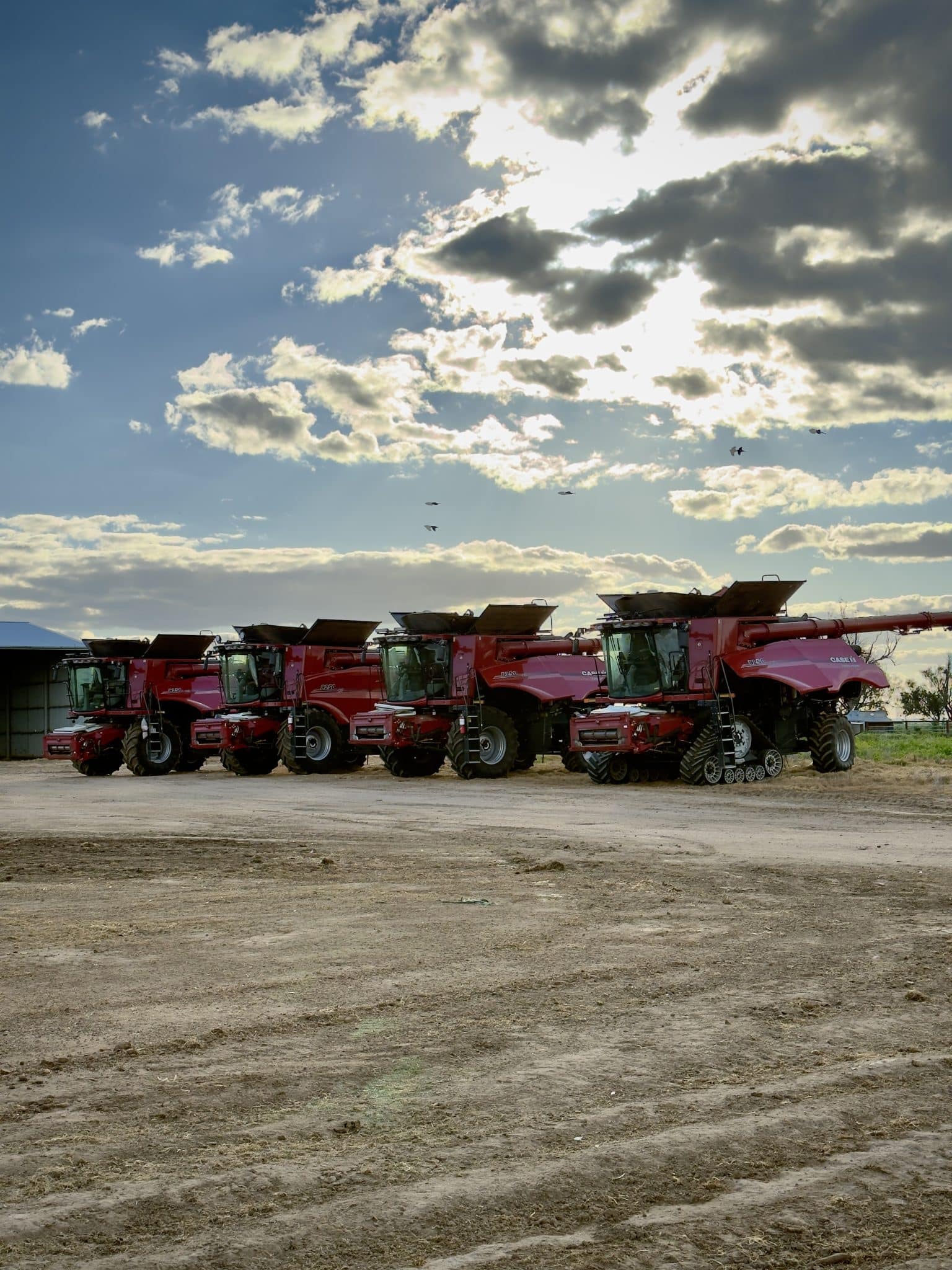 Row of red harvesters parked in a farm equipment yard beneath a cloudy sky.