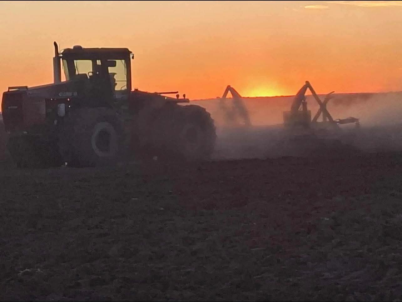 FB_IMG_1775032168801-1