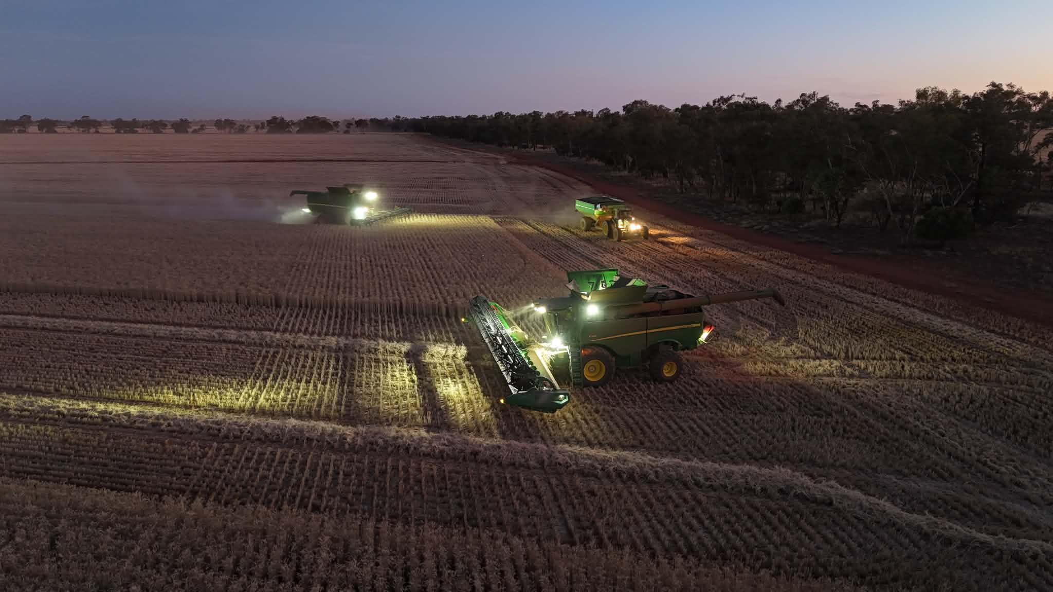 Combines harvest a field at dusk, bright headlights cutting rows as dust rises near a tree line.